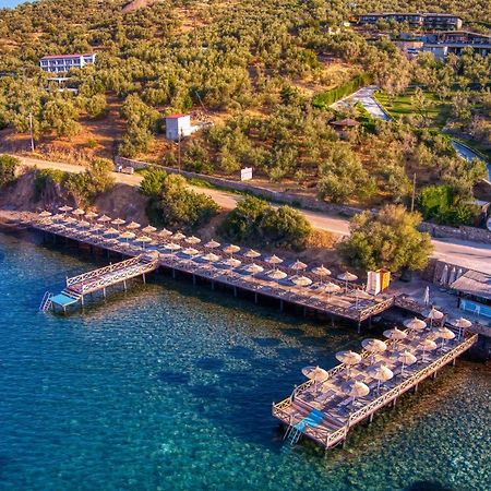 Assos Dionysos Special Class Hotel Adults Only 12 Years Экстерьер фото