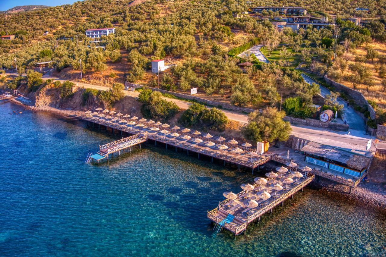 Assos Dionysos Special Class Hotel Adults Only 12 Years Экстерьер фото