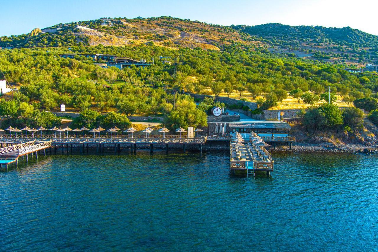 Assos Dionysos Special Class Hotel Adults Only 12 Years Экстерьер фото
